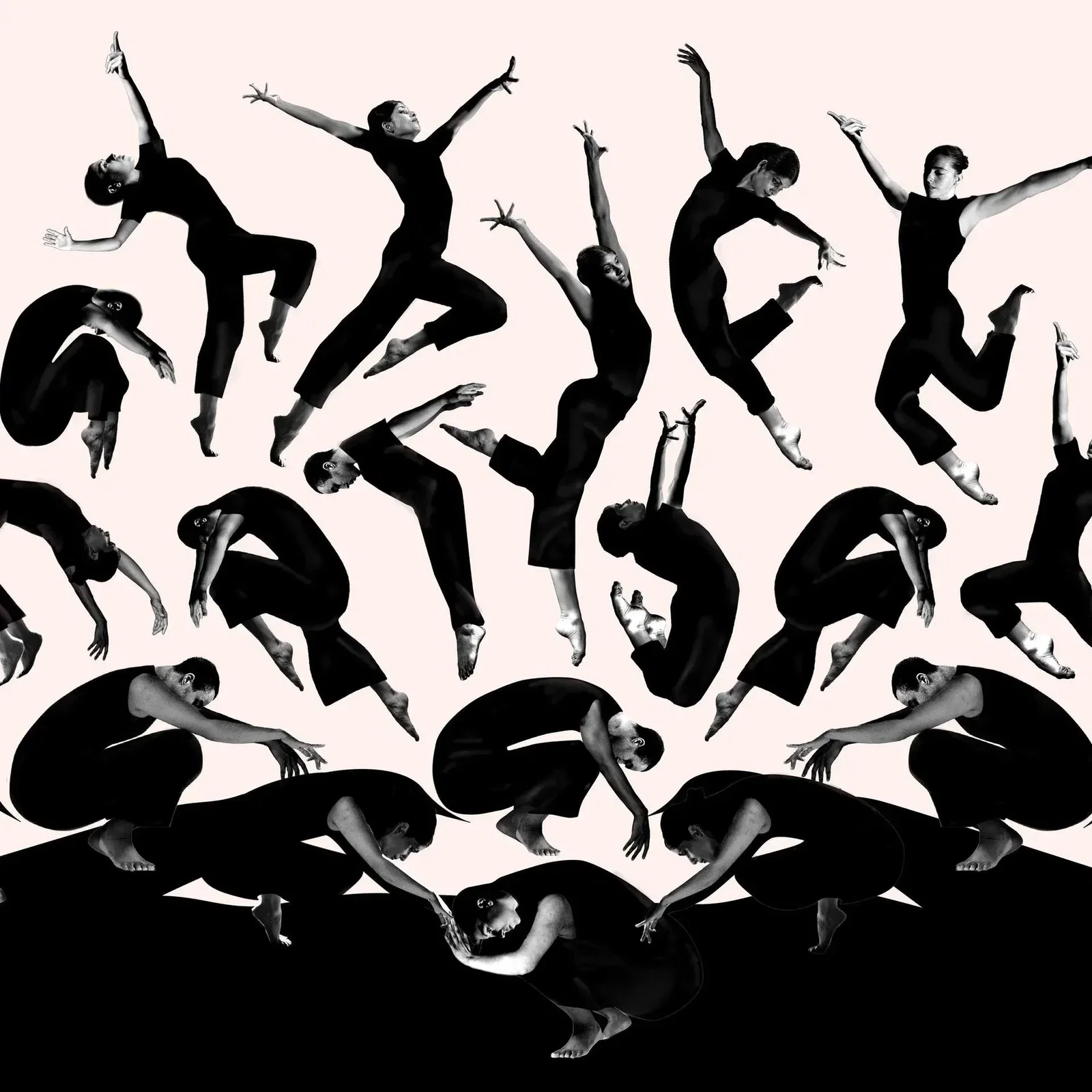 Ontdek ons dansprogramma!